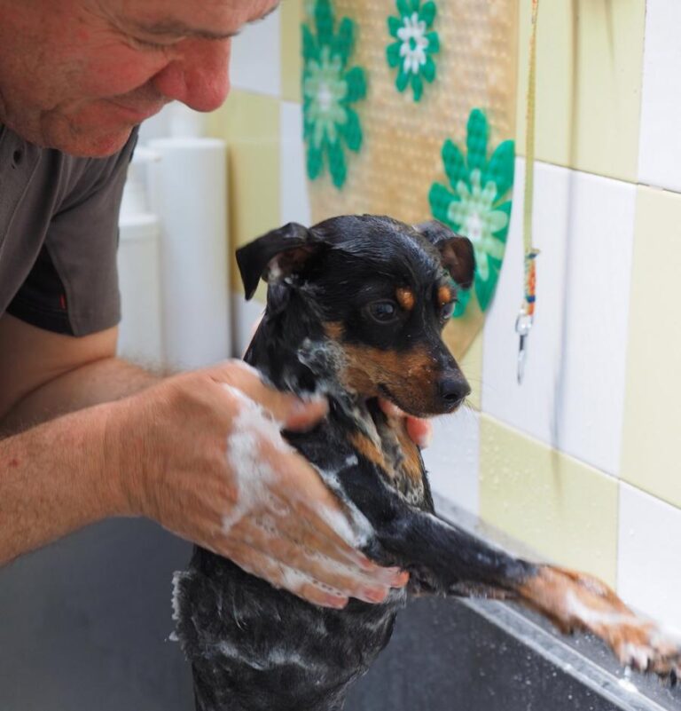 multimedia-foto48985-388-1