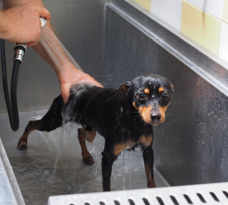 multimedia-foto48986-388-1