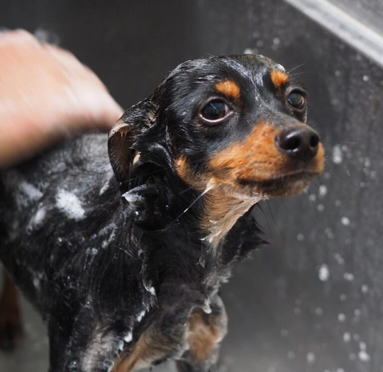 multimedia-foto48989-389-1