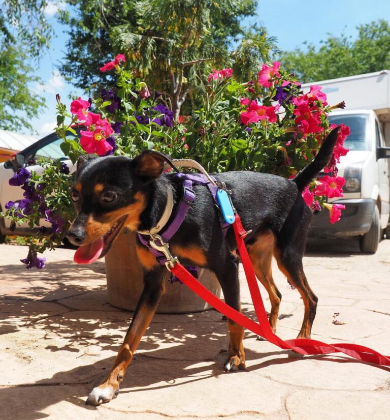 multimedia-foto48990-389-1