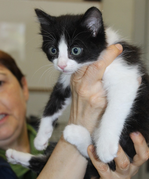 multimedia-foto49020-609-1