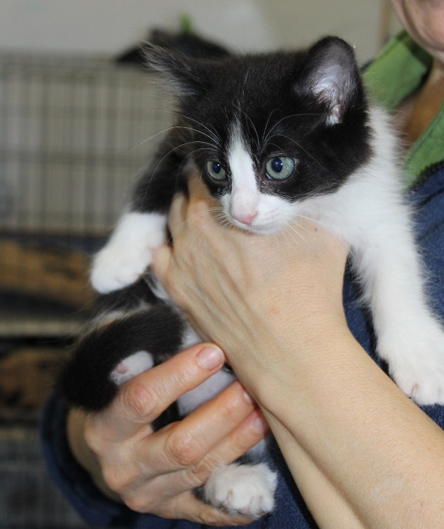 multimedia-foto49021-609-1