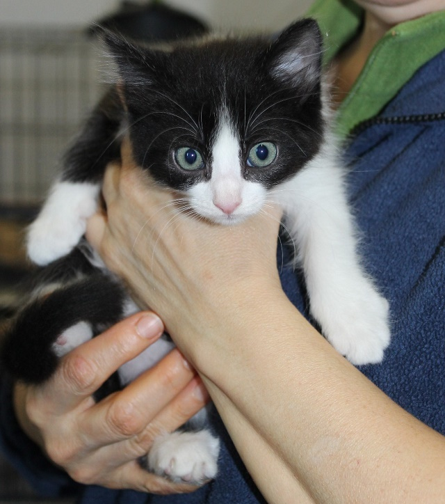 multimedia-foto49022-610-1