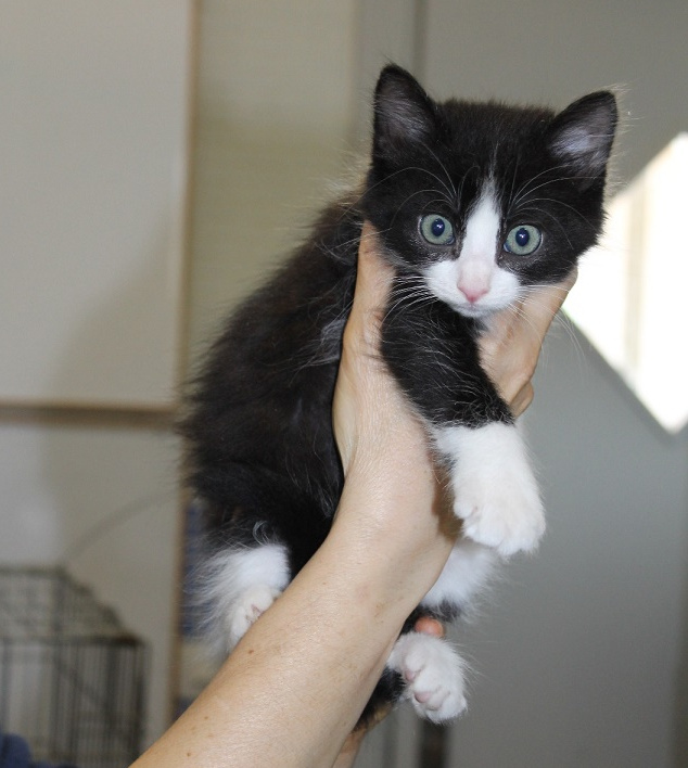 multimedia-foto49023-610-1