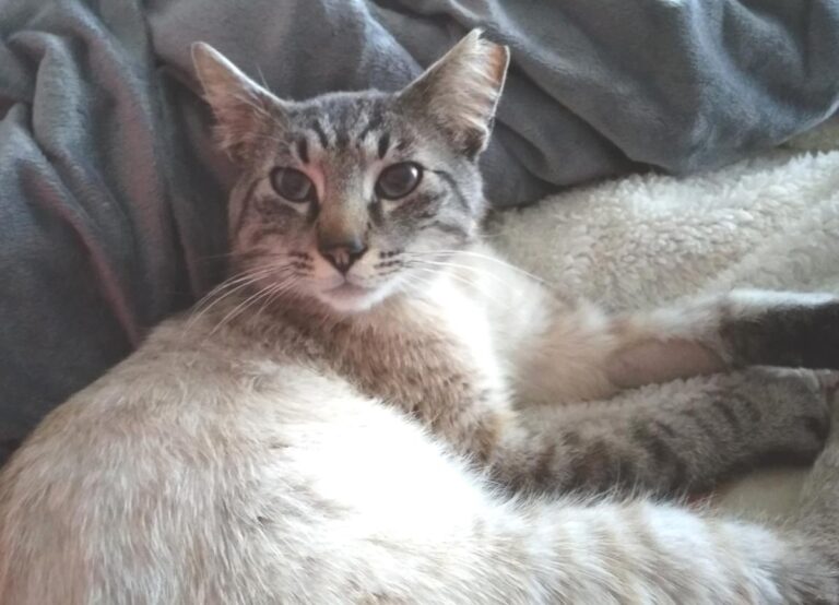 multimedia-foto49025-186-1