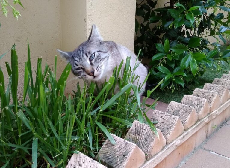 multimedia-foto49026-187-1