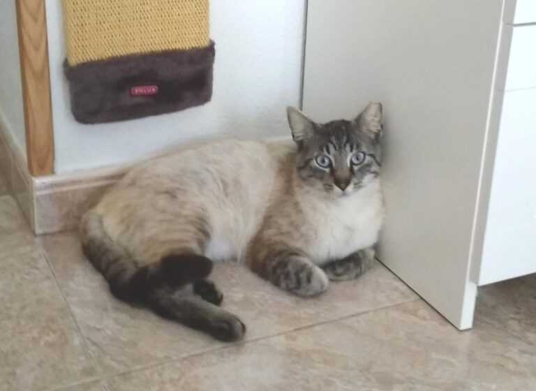 multimedia-foto49027-187-1