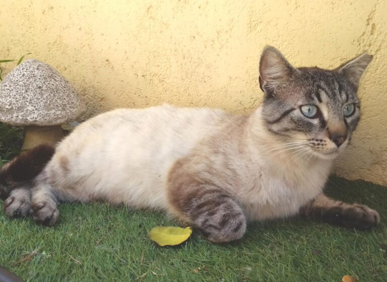 multimedia-foto49029-187-1