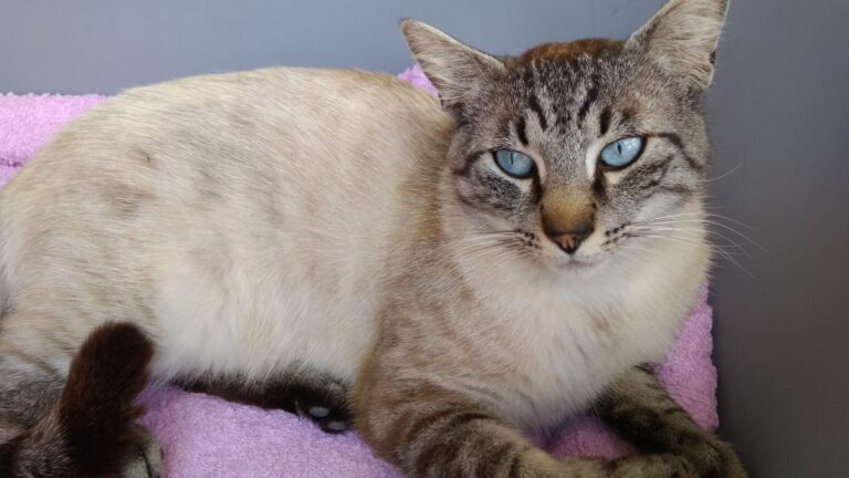 multimedia-foto49030-188-1