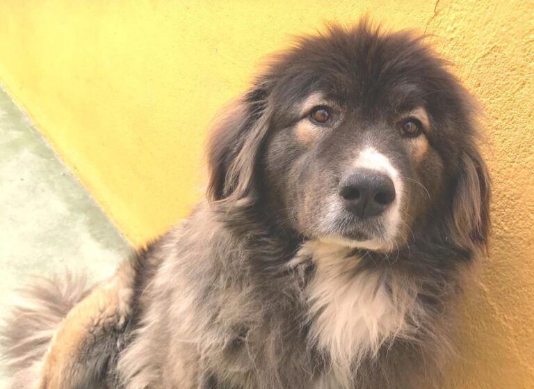 multimedia-foto49032-681-1