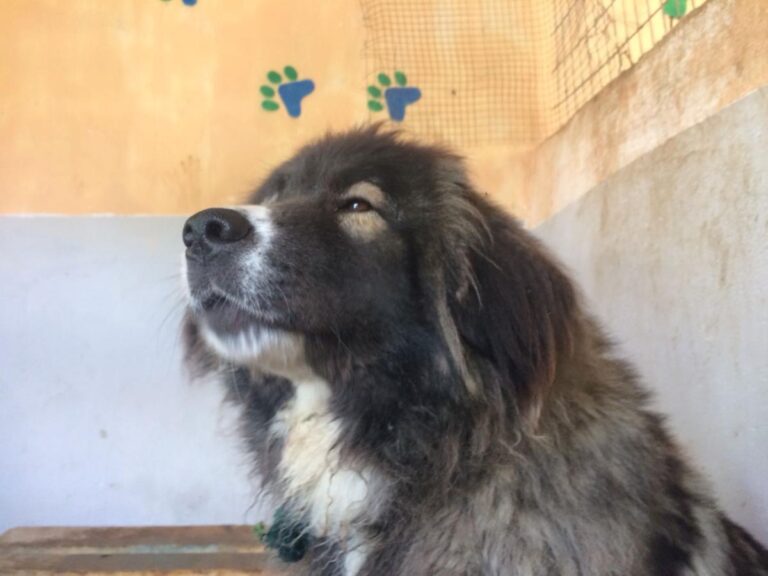 multimedia-foto49033-681-1