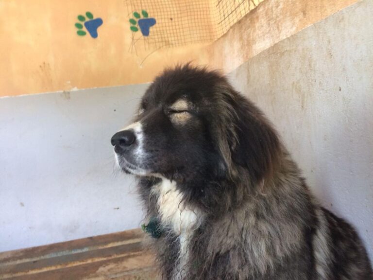 multimedia-foto49035-682-1