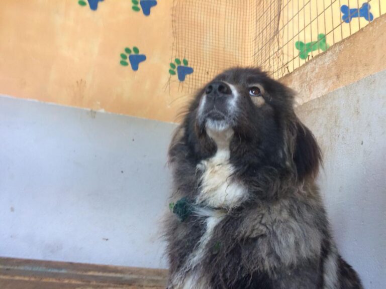 multimedia-foto49036-682-1