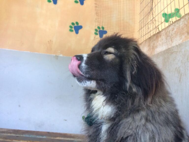 multimedia-foto49037-682-1