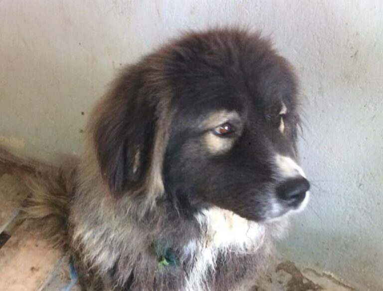 multimedia-foto49038-719-1