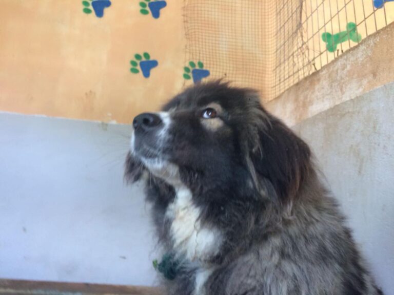 multimedia-foto49039-719-1