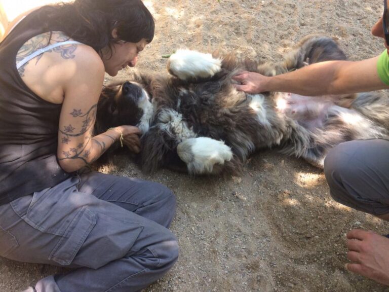 multimedia-foto49040-719-1