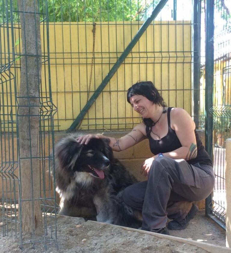 multimedia-foto49041-720-1