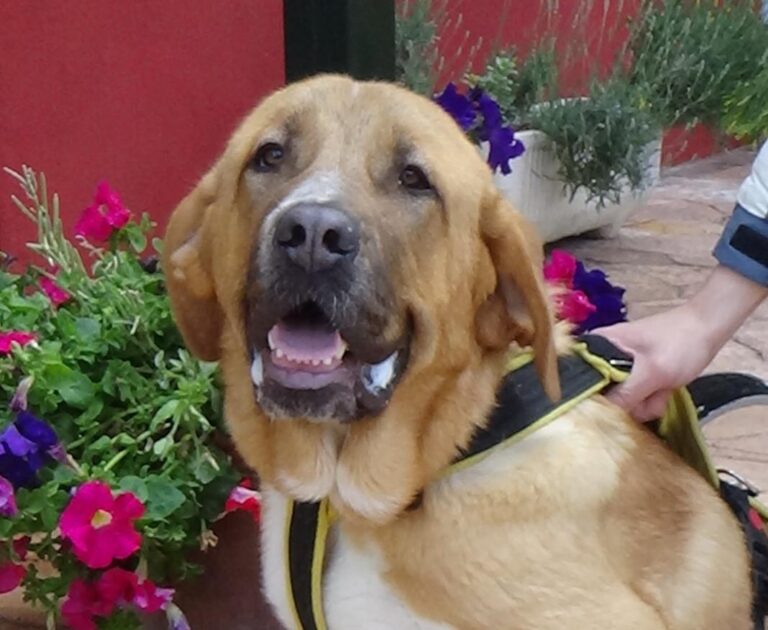 multimedia-foto49042-89-1