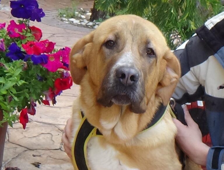 multimedia-foto49043-89-1