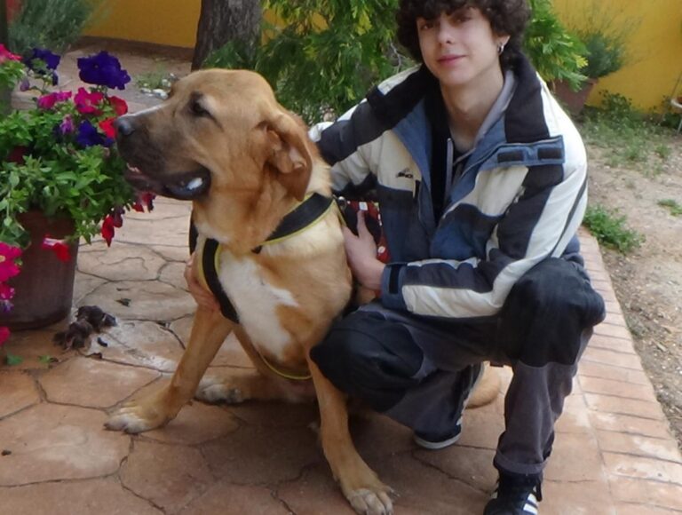 multimedia-foto49046-90-1