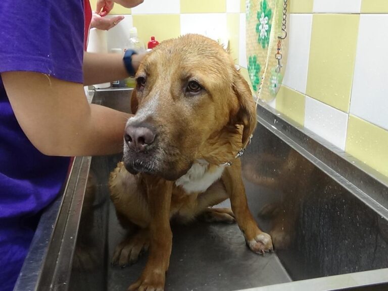 multimedia-foto49050-150-1