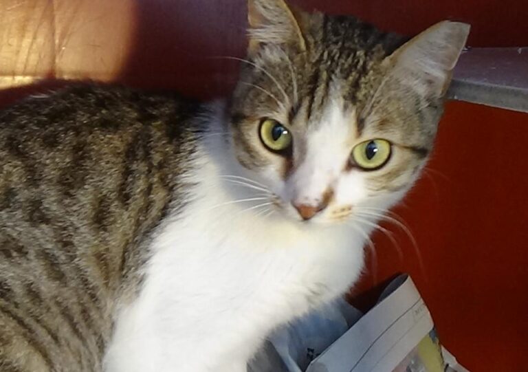 multimedia-foto49057-177-1