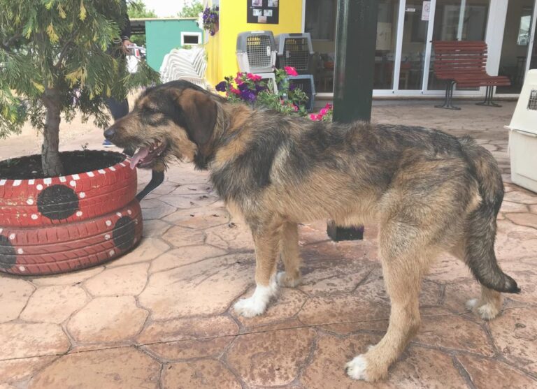 multimedia-foto49091-732-1