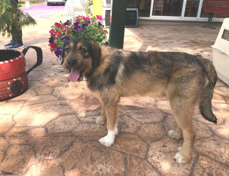 multimedia-foto49092-733-1