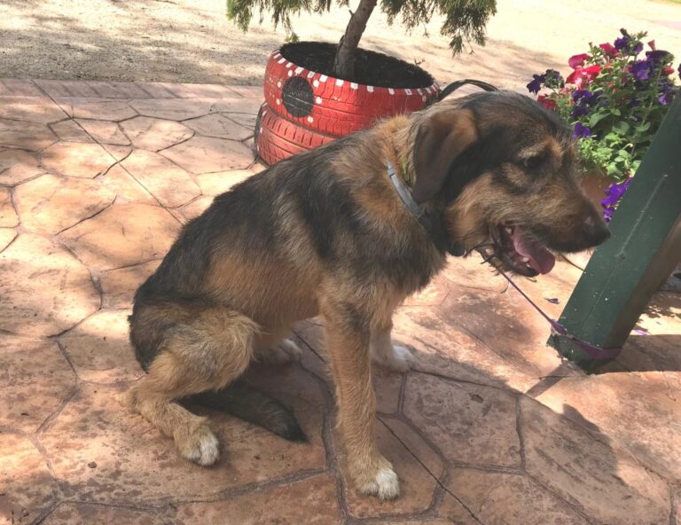 multimedia-foto49093-733-1