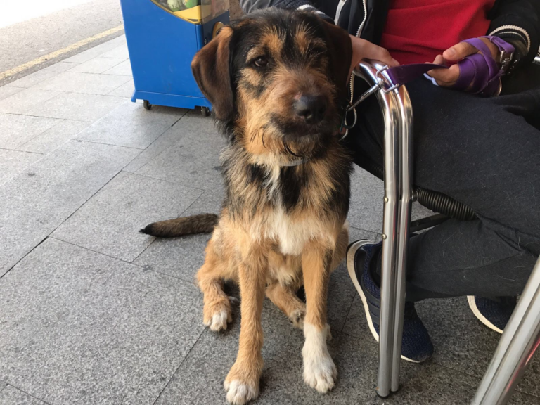 multimedia-foto49096-734-1