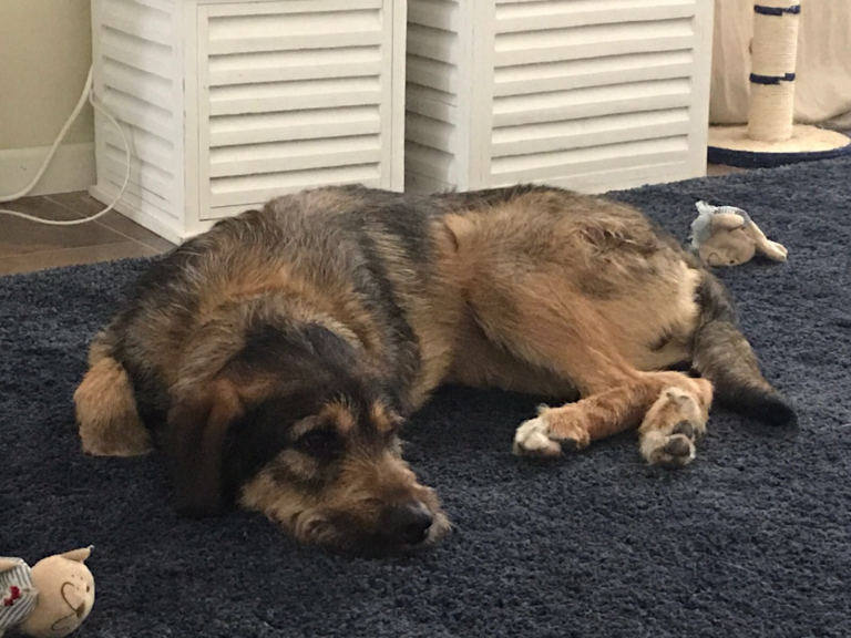 multimedia-foto49097-734-1