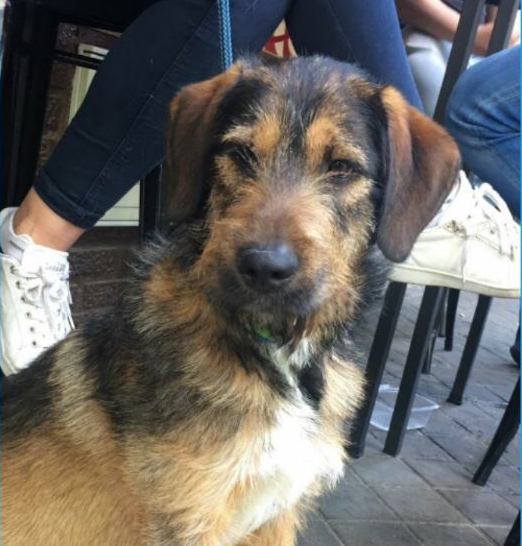 multimedia-foto49098-773-1