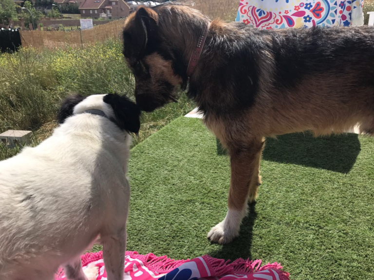 multimedia-foto49099-773-1