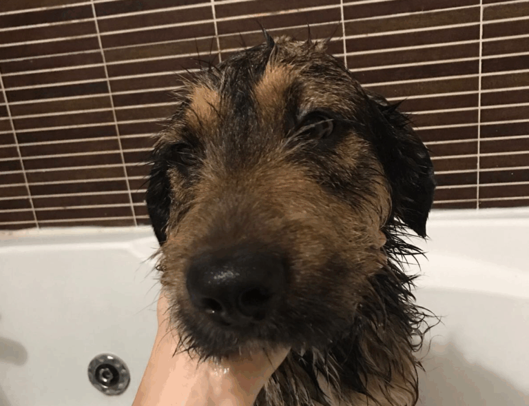 multimedia-foto49100-774-1