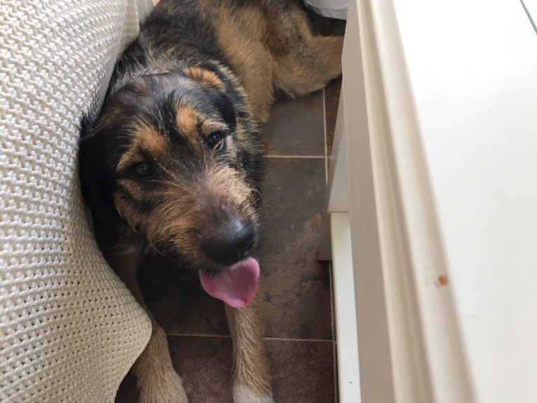 multimedia-foto49101-774-1