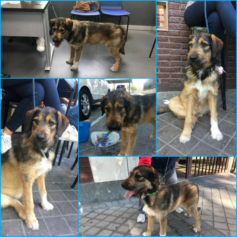 multimedia-foto49102-789-1