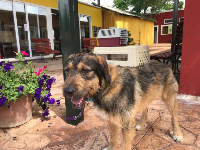 multimedia-foto49103-563-1