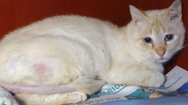 multimedia-foto49119-647-1