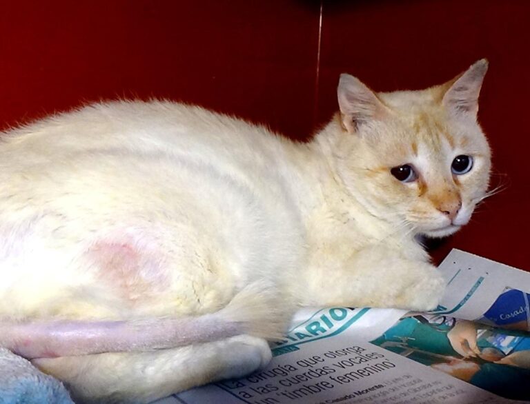 multimedia-foto49121-648-1