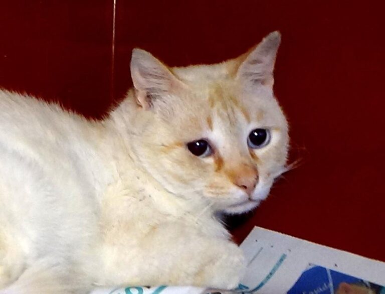 multimedia-foto49122-648-1