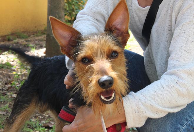 multimedia-foto49128-405-1