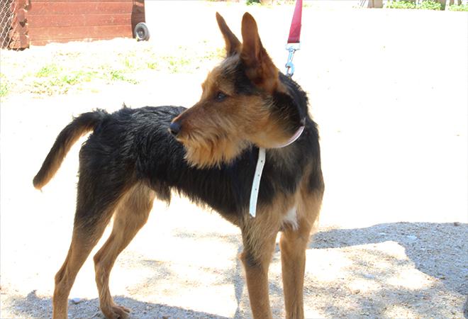 multimedia-foto49129-406-1