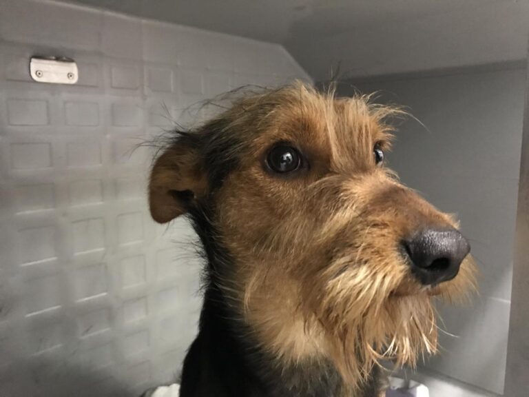 multimedia-foto49130-406-1