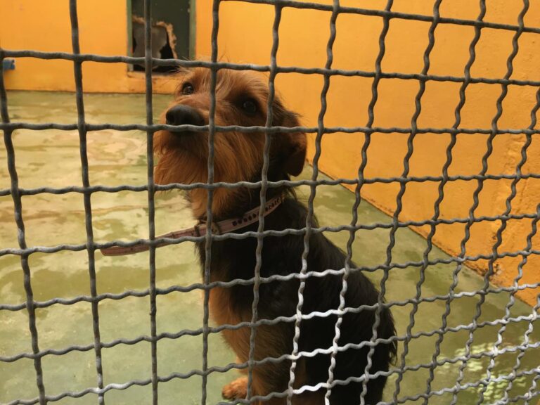 multimedia-foto49131-10-1