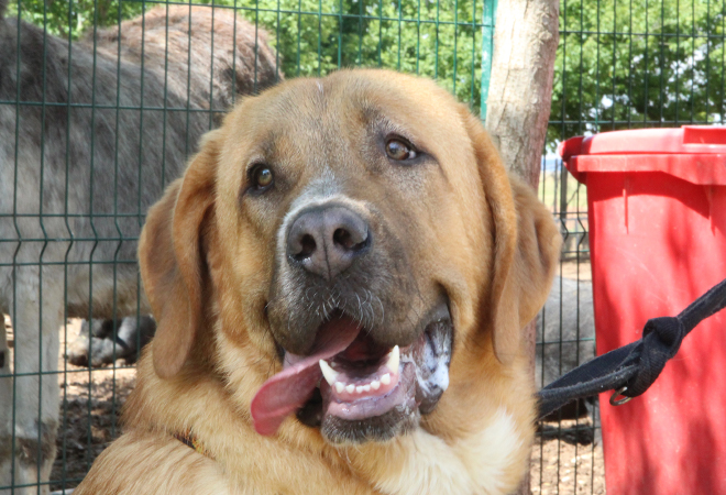 multimedia-foto49132-92-1