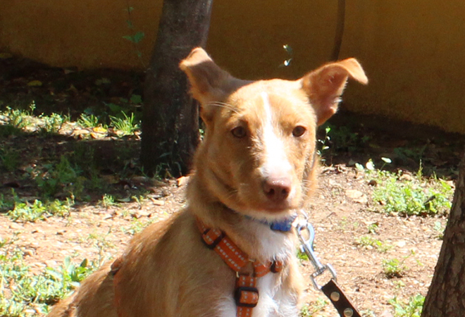 multimedia-foto49140-223-1