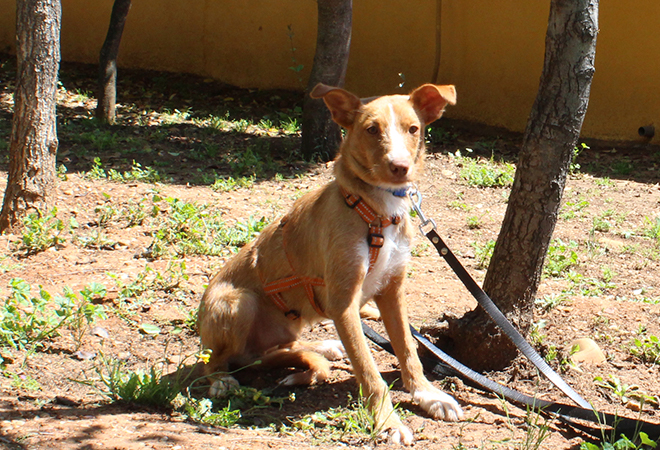 multimedia-foto49141-223-1