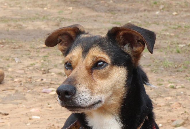 multimedia-foto49142-255-1