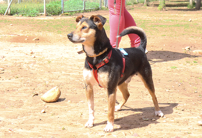 multimedia-foto49143-255-1